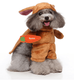 Funny Cosplay Pet Costume Set: Cute Cartoon Dog Outfit For Halloween And Christmas Dress-Up